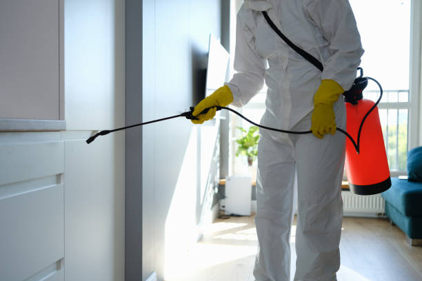 Certified Mold Removal in Crafton, PA