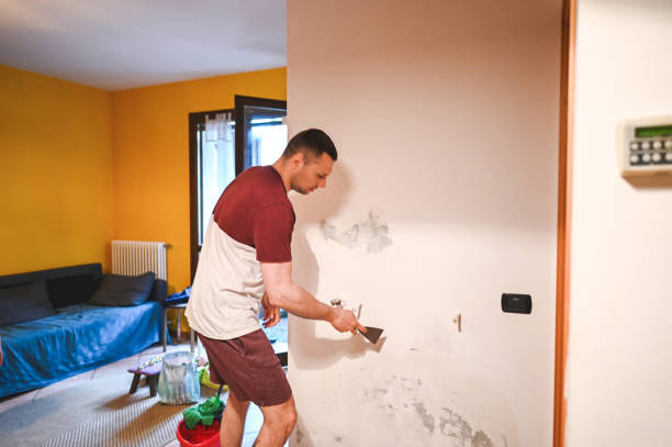 Best Commercial Mold Removal  in Crafton, PA